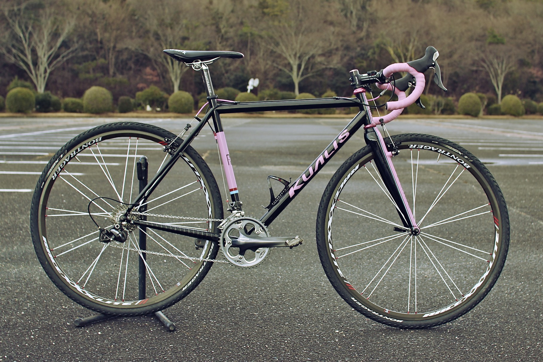 Wheeler Vintage Road Bike